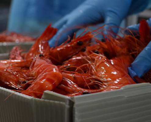 2021-with-Genics-Australia-med